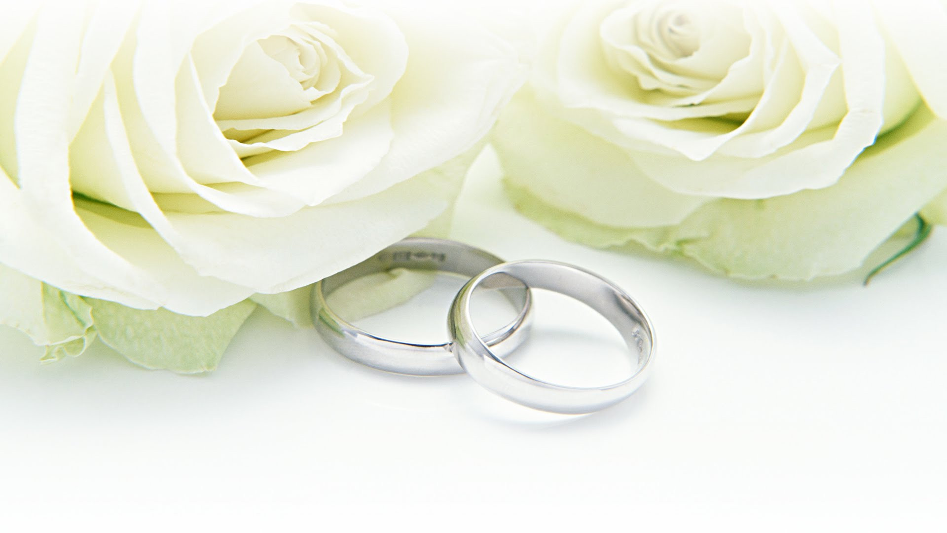 目黒の結婚相談所は日本結婚相談所連盟に正式加盟しています